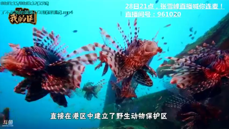 【2022-01-05 15点场】了不起我的国：哪里的话最好听？中国36种方言大比拼