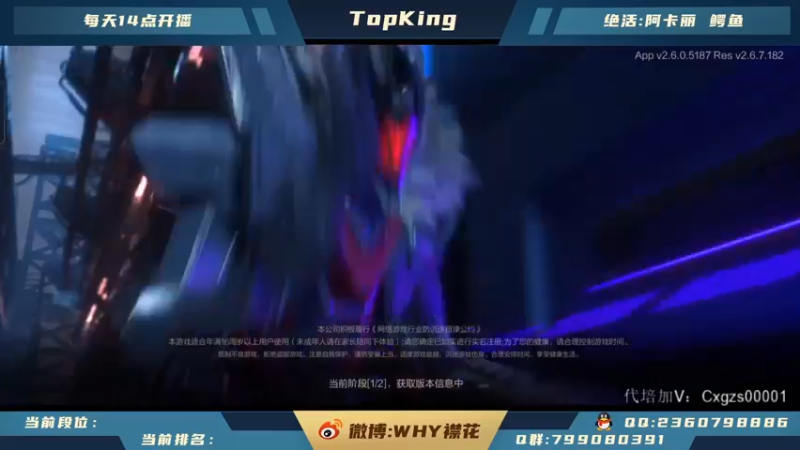 【2022-01-03 13点场】襟花啊：全网最强阿卡丽教学