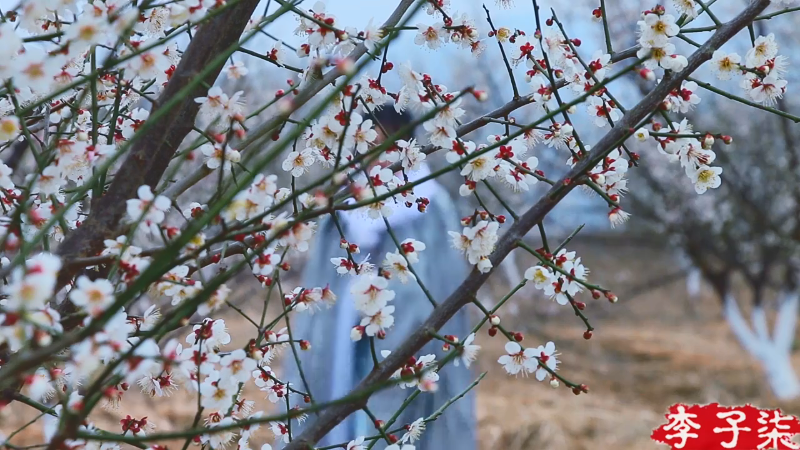 【美食】李子柒liziqi的精彩时刻 20220105 00点场