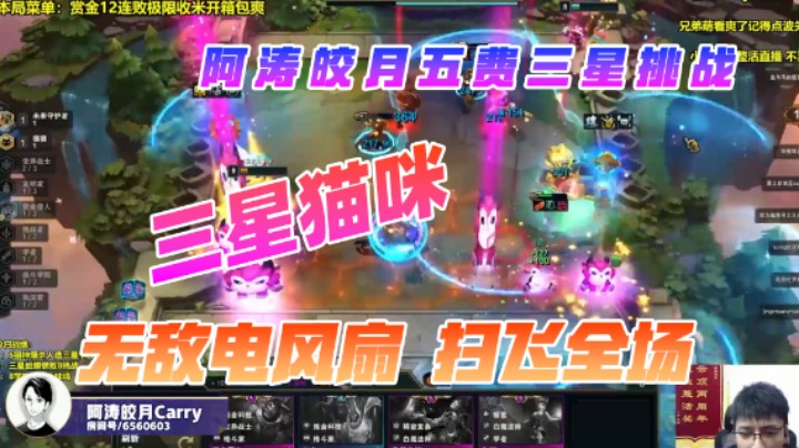 神之一手：阿涛皎月三星猫咪，无敌电风扇扫飞全场