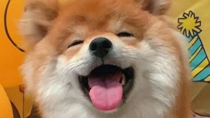 狼人杀