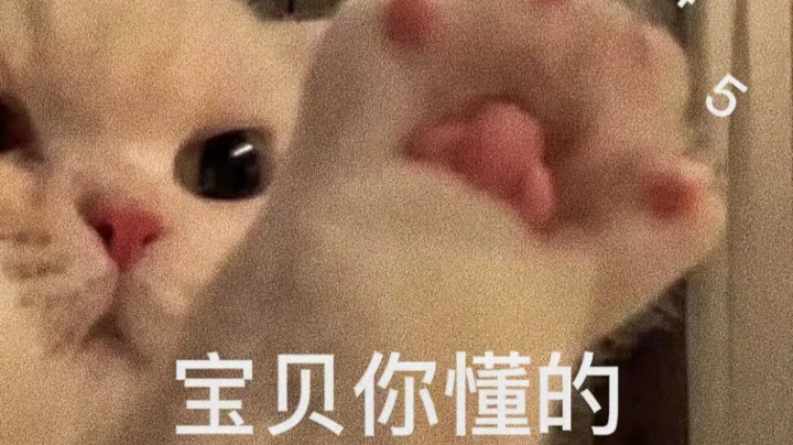 又是被猎杀的一天