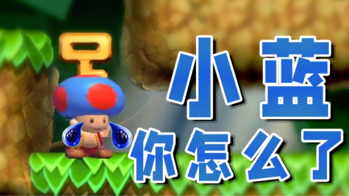 【超级小桀】小蓝怎么了？为什么不求稳？