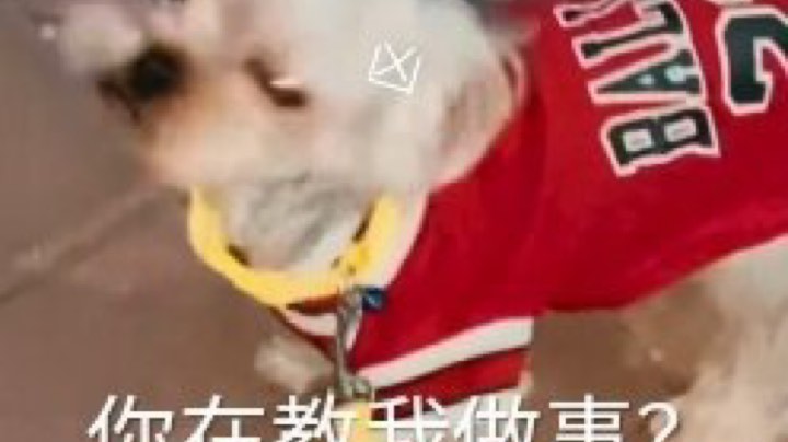 饿么