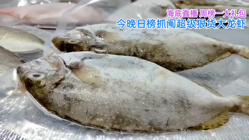 【2022-01-05 21点场】海道丶：今晚抓阄超级狠货大龙虾123