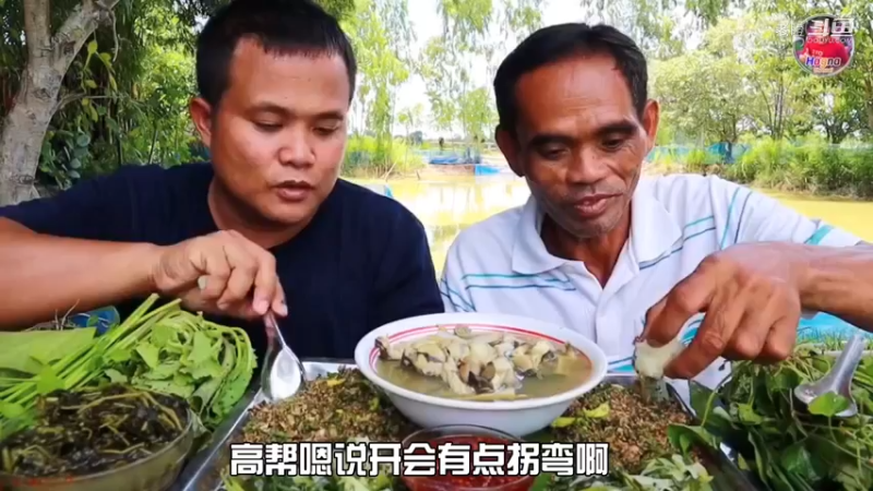 中间那盆还带小爪子，我也没看清是什么