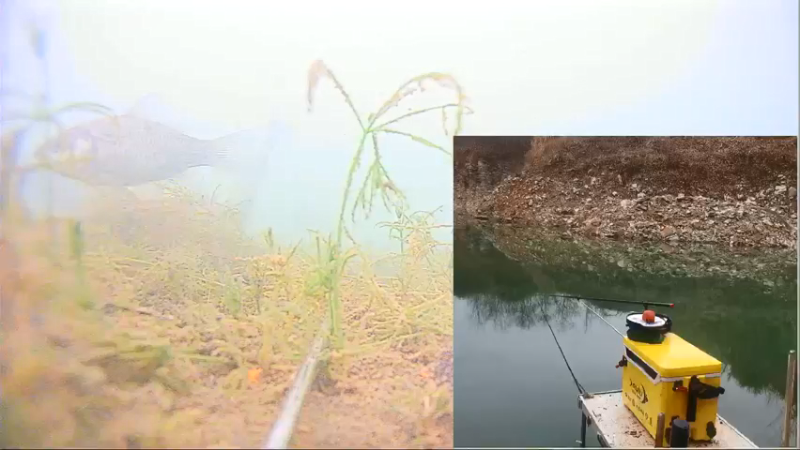 【2022-01-07 13点场】中华户外钓鱼：今天是个钓鱼的好天气 828705