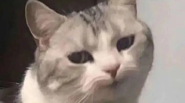 笑死我辣
