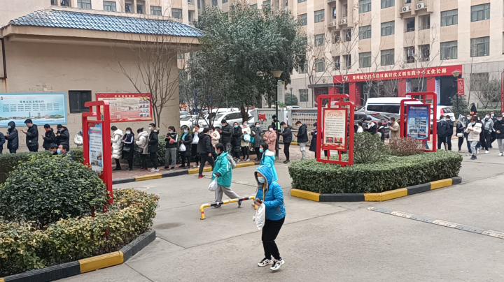 不让上班 就上半天全员行动 大河南加油吧