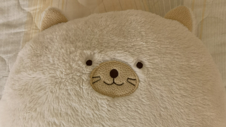 是兄弟就来砍我