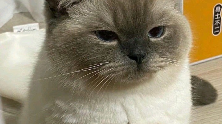 1直播回看
