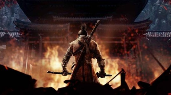 只狼的奇妙冒险1