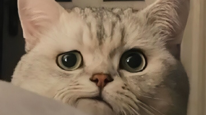 随便玩玩