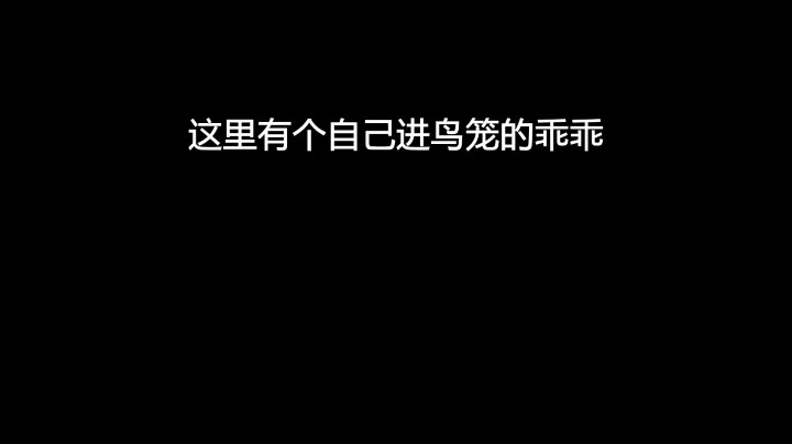 自己进鸟笼的白鸟，爱了嘛！