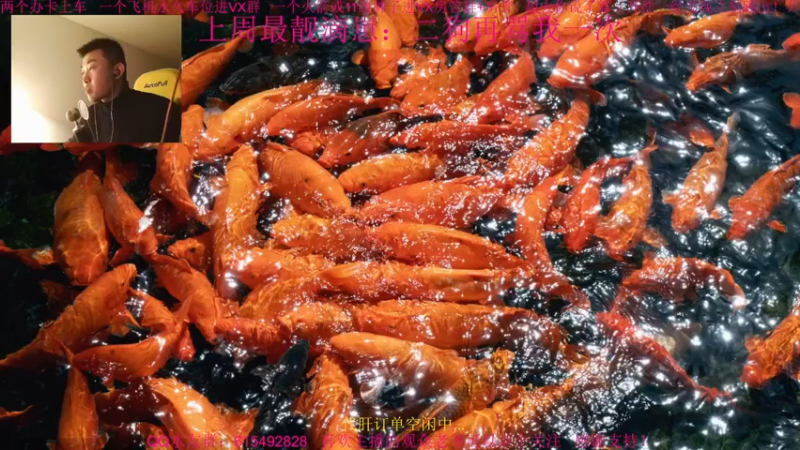 【2022-01-08 15点场】主播世贤：世贤正能量~