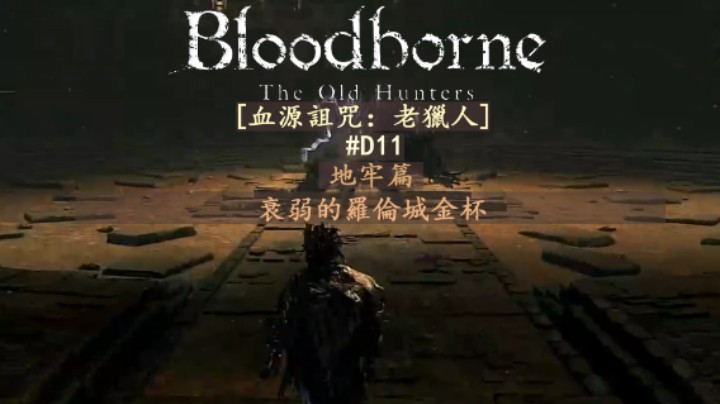 【磐石】D11-地牢篇-衰弱罗伦城金杯-共3层-怪兽附体灵魂，渴血怪兽，令人憎恶的怪兽