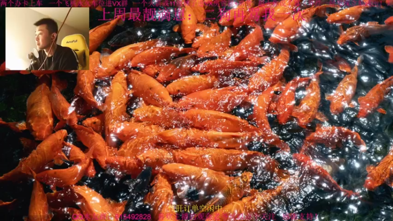 【2022-01-07 15点场】主播世贤：世贤正能量~