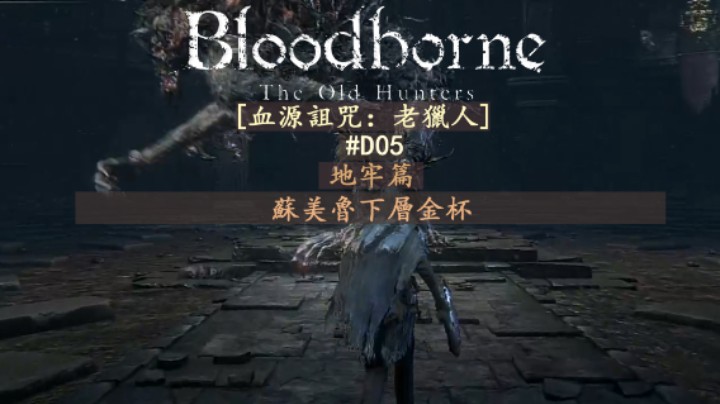 【磐石】D05-地牢篇-苏美鲁下层金杯-共4层-无情守护者（三胖）,不死巨人,愚笨蜘蛛罗姆,放血怪兽