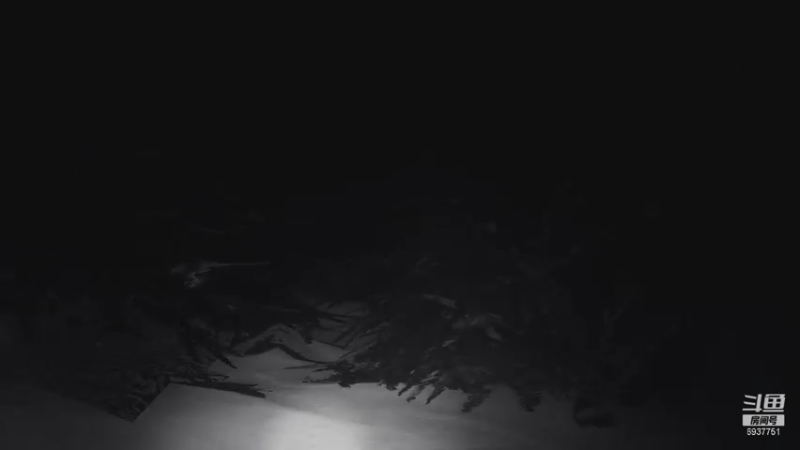 二狗的生化求生之旅