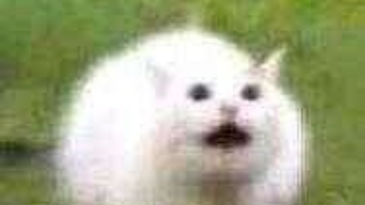 。。。
