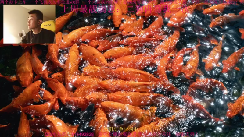 【2022-01-07 15点场】主播世贤：世贤正能量~