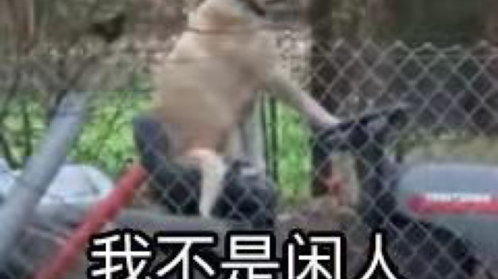 古剑