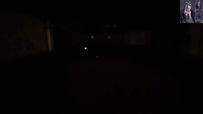 【2022-01-09 11点场】琼斯小卫：最新超惊悚大作《失眠症》首播~胆小勿入