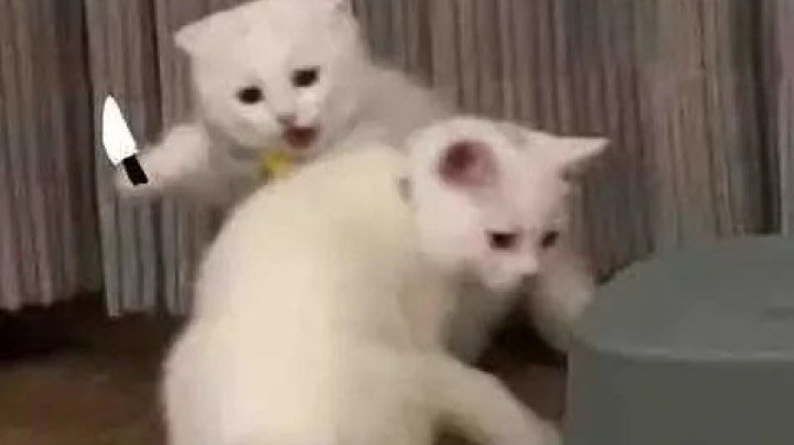 二狗