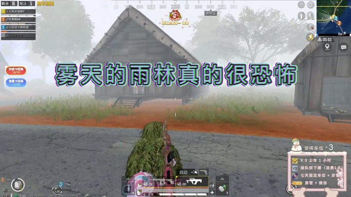 雾天的雨林真的很恐怖