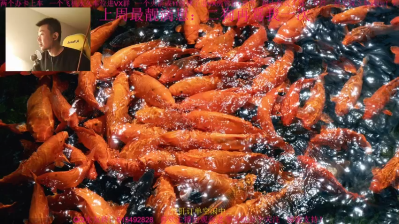 【2022-01-09 14点场】主播世贤：世贤正能量~