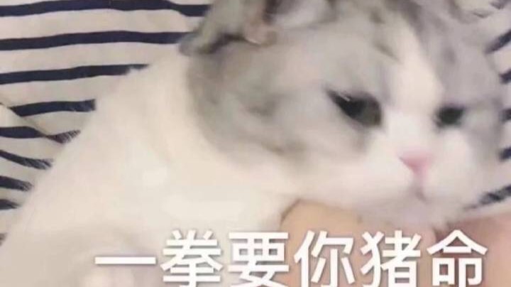 二周目2！