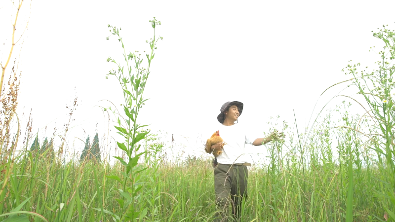 【美食】野食小哥的精彩时刻 20220110 11点场