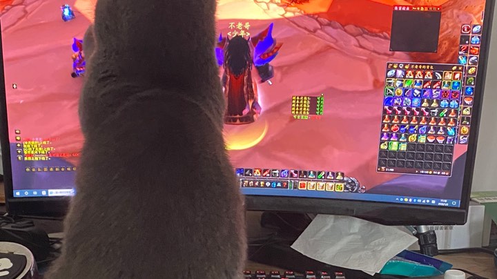 天启团NAXX竞速一月八号