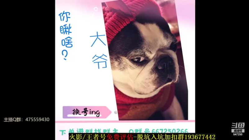 【2022-01-09 22点场】小马锅马杰：马锅：呜呜呜，回家了xdm。