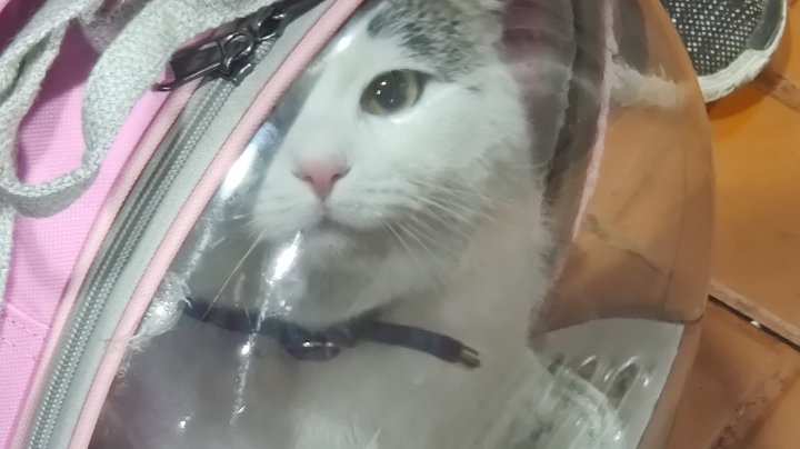 LOL手游