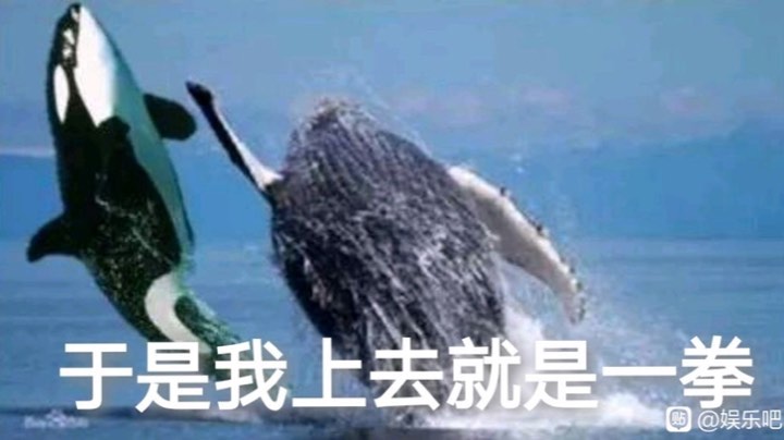 呜哇呜哇