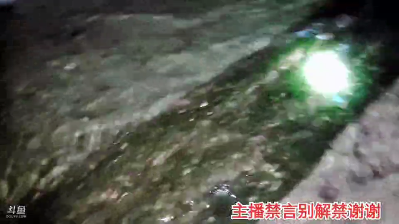 【户外】许文强户外的精彩时刻 20220111 01点场