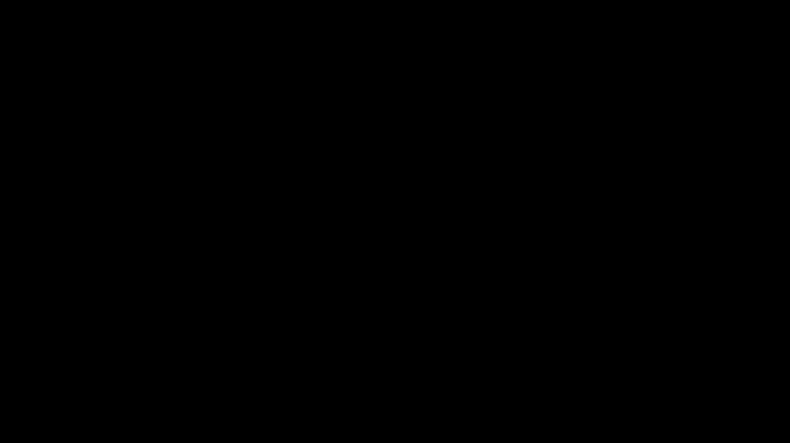 保存