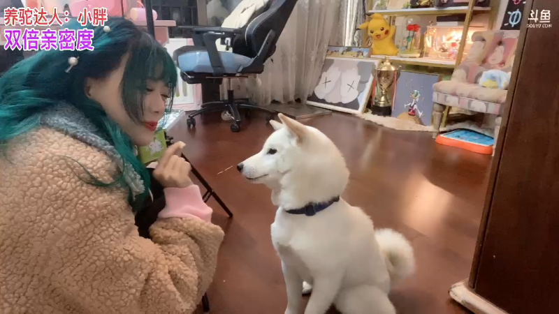 这是我剪辑的骆歆冲冲冲的直播精彩时刻，快来看看吧~