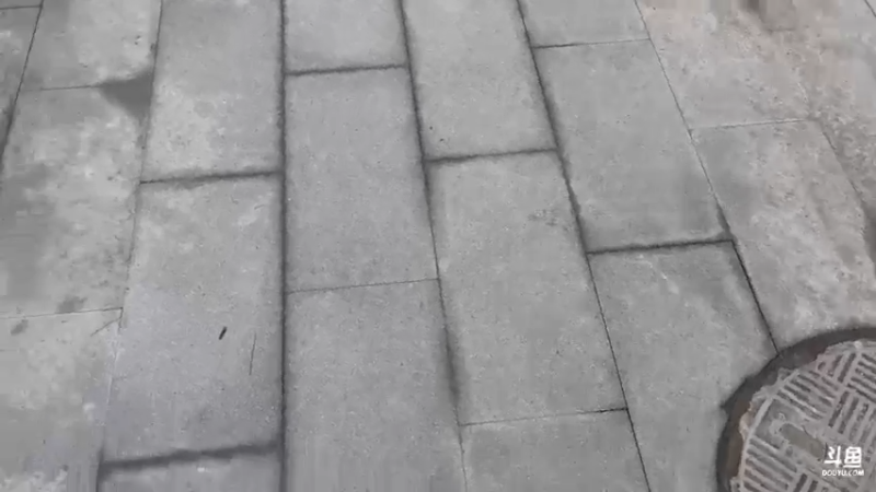 【2022-01-11 10点场】琼斯小卫：最新超惊悚大作首播~胆小勿入