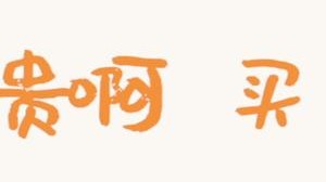 好贵啊，买了，这个也好贵啊，买了