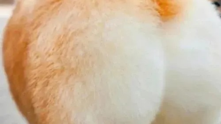 290很简单