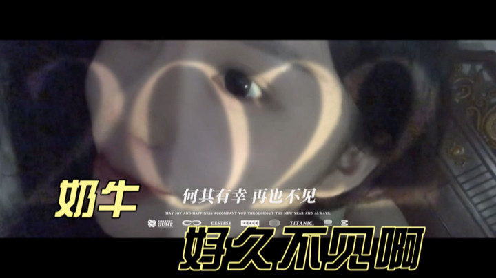 林蒙：好久不见啊奶牛