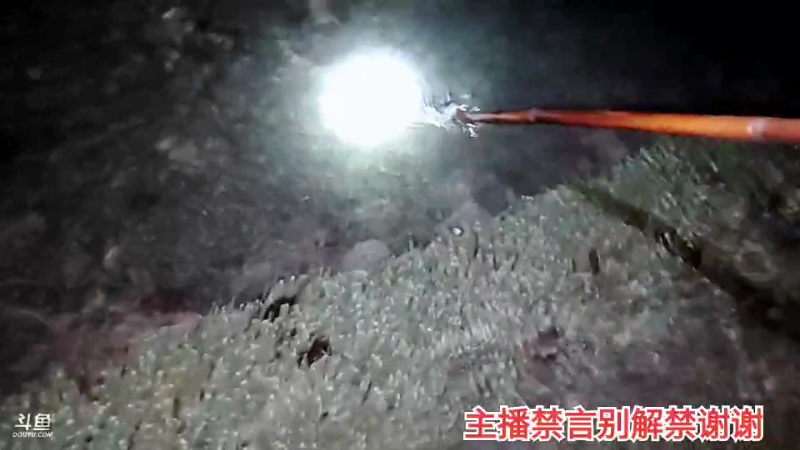 【户外】许文强户外的精彩时刻 20220111 01点场