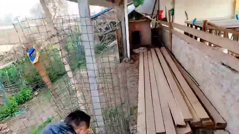 【2022-01-11 13点场】洪湖小肖：洪湖小肖回来了