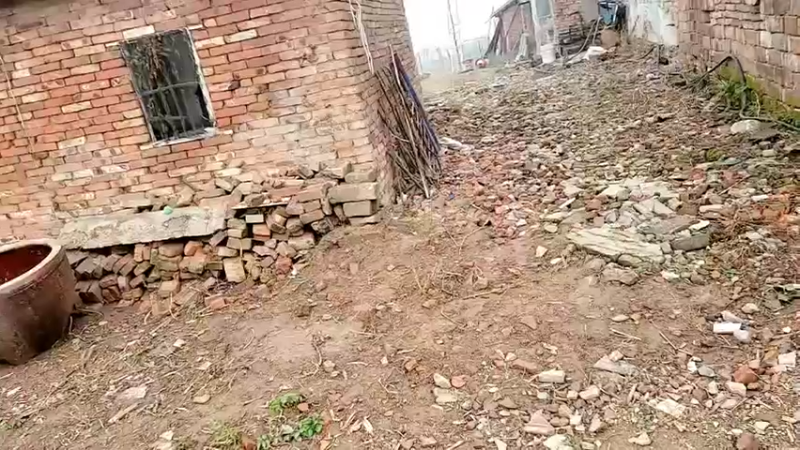 【2022-01-11 11点场】洪湖小肖：洪湖小肖回来了