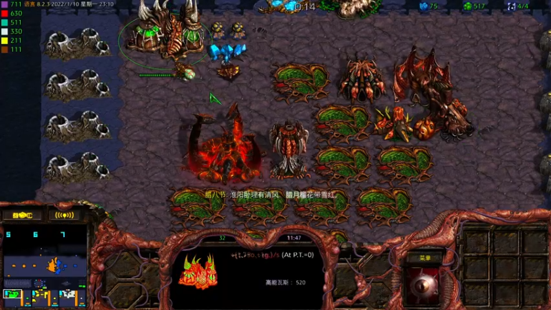 【2022-01-10 22点场】星际DSA联赛：天使風暴™️ 專業版