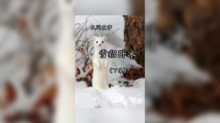 民间故事之雪貂卧冰下