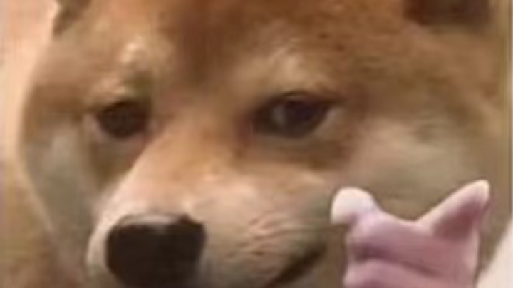 1月12日素材