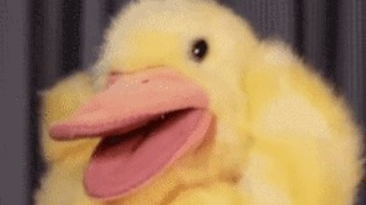 三国志14曹熊痛失寿春